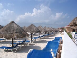 Click to See Next Image